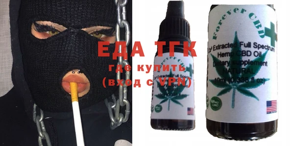 соль ск Каменка