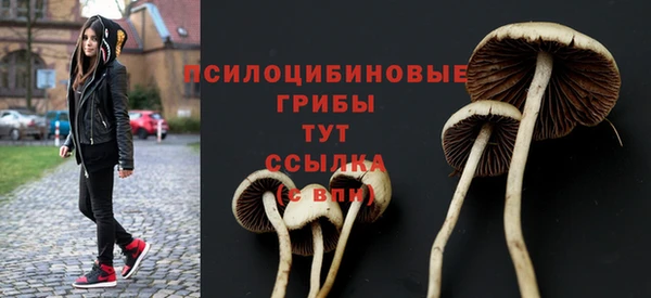 экстази Каменск-Шахтинский