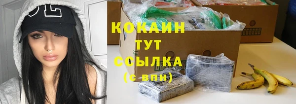 соль ск Каменка