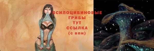соль ск Каменка