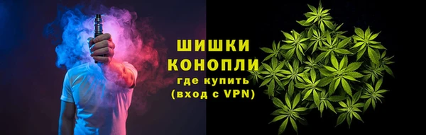 соль ск Каменка