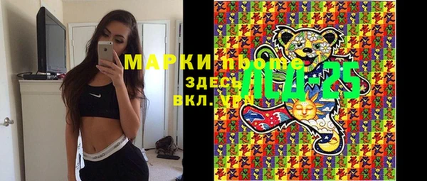 соль ск Каменка