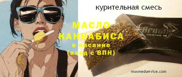 соль ск Каменка